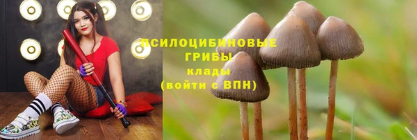 прущий лед Горняк