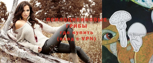 сатива Горно-Алтайск