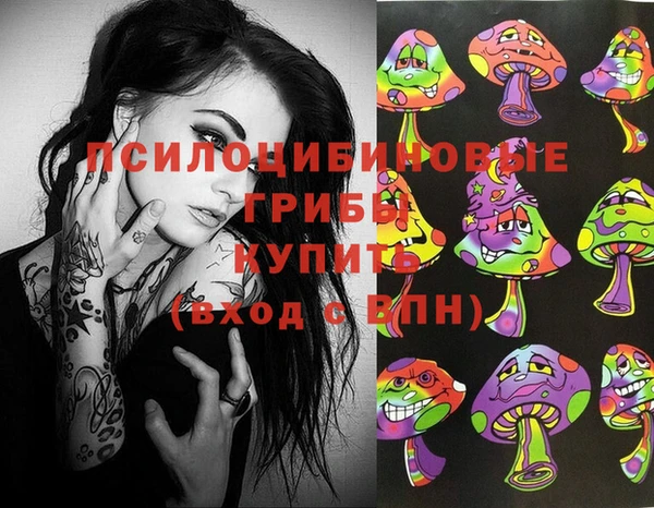 прущие грибы Бердск