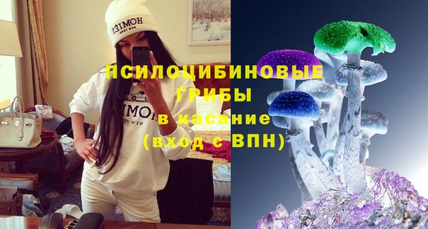 прущий лед Горняк