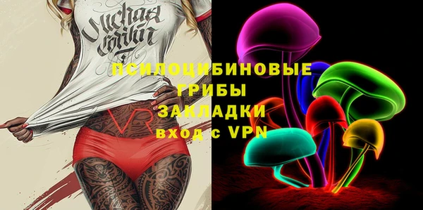 прущий лед Горняк