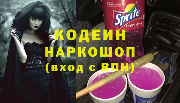прущие грибы Бердск