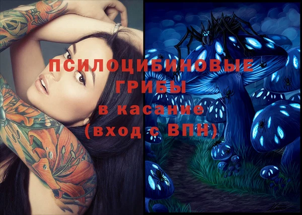 прущий лед Горняк