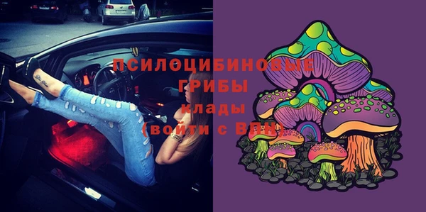 прущий лед Горняк