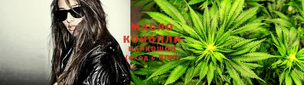 сатива Горно-Алтайск