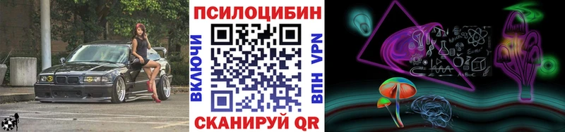 Галлюциногенные грибы Psilocybe  купить наркоту  Заринск 